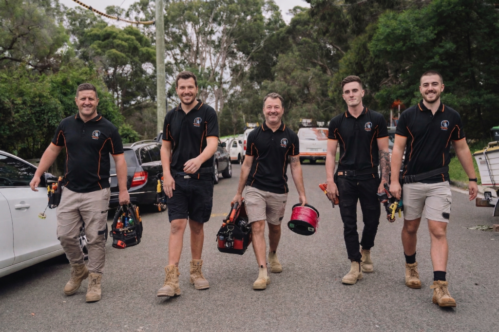 Professional electrical services in Breakfast Point